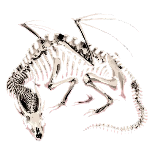 Ashen Bone Drake